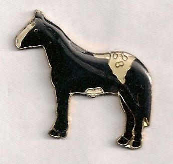 Vintage Appaloosa Horse Pin (lg)  