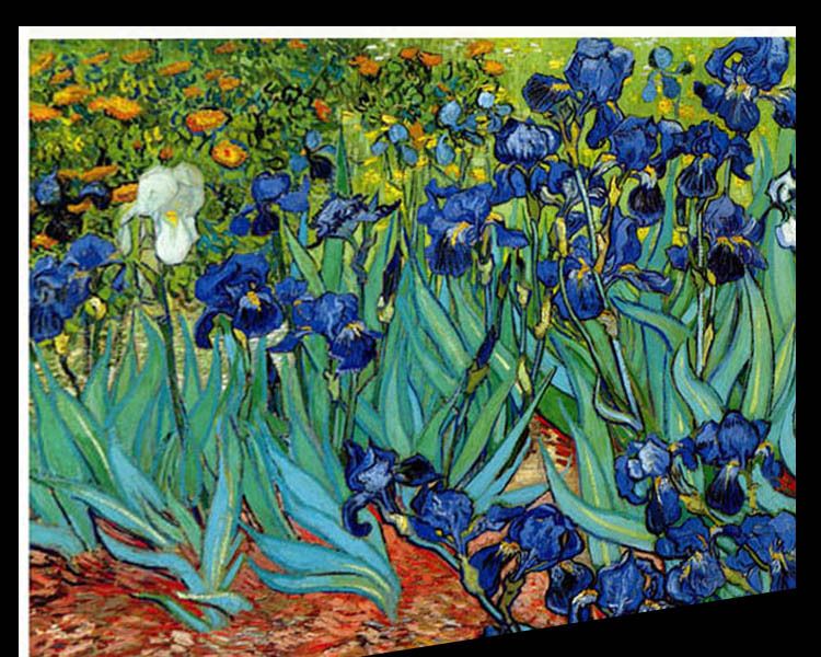 FOOT VINCENT VAN GOGH IRISES FINE ART CANVAS REPRO  