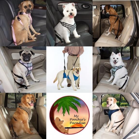 Car Harnesses for Dogs   Keep Your Dogs Safe Harnesses