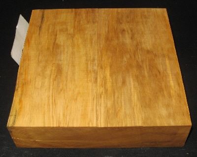 ARGENTINE IVORY WOOD Turning Bowl Plate Blank Lathe 8 x 8 x 2 