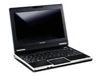 Toshiba Mini Notebook NB105 0883974169504  