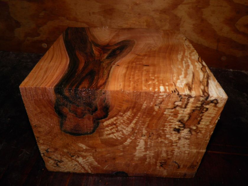 spalted FIRE stained maple turning bowl vase pen blank wood BIG * 6 sq 