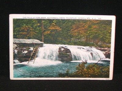 Antique POSTCARD c1929 Fern Wood Falls PALENVILLE, NY  