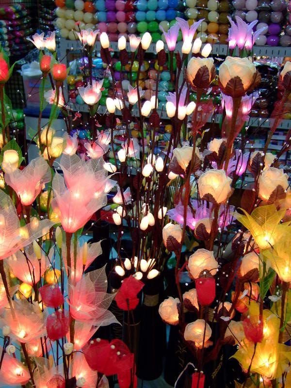 1000 SKELETON LEAF ideas for using old christmas light  