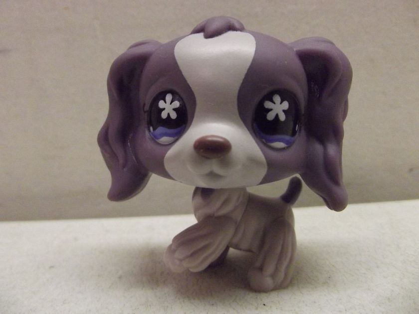 LITTLEST PET SHOP PURPLE VIOLET COCKER SPANIEL DOG #672 RARE  