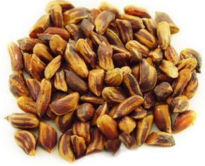 NEW*EXOTIC*WILD*JUNGLE PEANUTS*20 SEEDS*KIDS*E Z #1116  