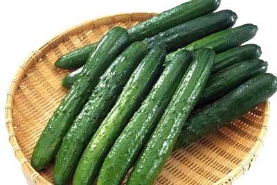 Yamato Sanjaku Japanese sushi cucumber 25 seeds  