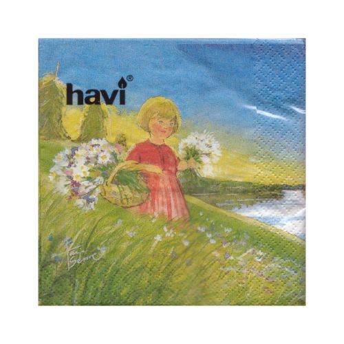 Havi Paper Serviette Napkins 24 x 24 cm Finland  
