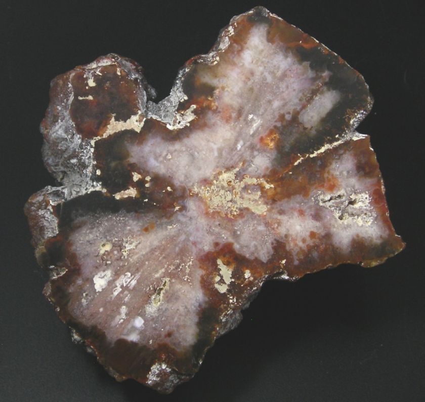 Quartz after Aragonite Pseudomorph Specimen 7.5cm 171gm  