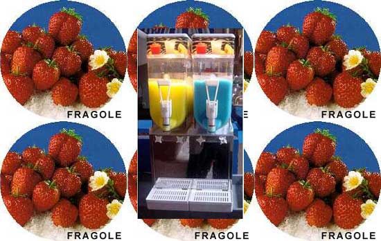 Four important reasons why you should own this granita machine