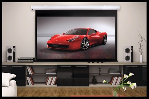 Screen Solutions TPM119 HD TV Projector Screen WOW  