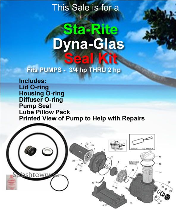 Sta Rite DYNA GLAS Swimming Pool Pump O ring/Seal Kit  