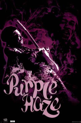 Jimi Hendrix Purple Haze POSTER Experience Music 22x34  