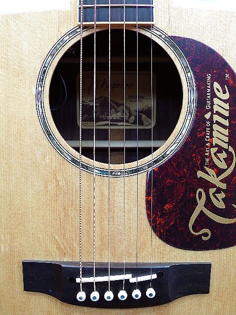 NEW 2011 Takamine Nashville TNV 360SC Specialty Shop Acoustic Electric 