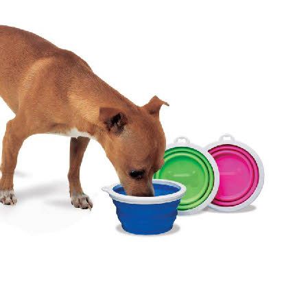 Bamboo Dog Portable SILICONE COLLAPSIBLE TRAVEL BOWL  