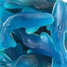 GUMMY BLUE SHARKS 5LBS  