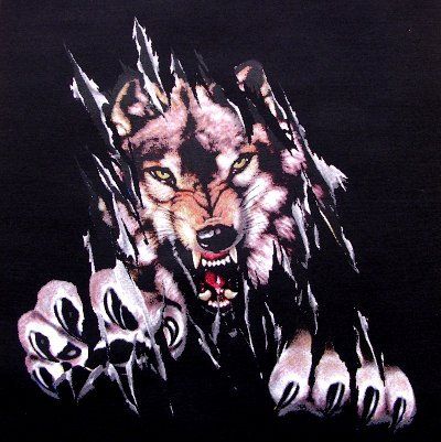 WILD WOLF WEREWOLF WOLFMAN BIKER LYCAN T SHIRT XT1  