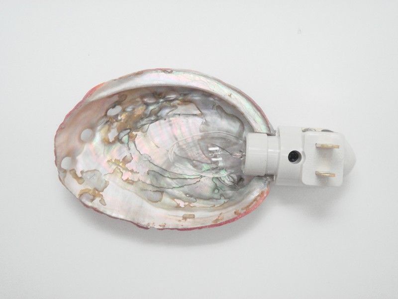 RED ABALONE SEA SHELL NIGHTLIGHT BATHROOM KITCHEN 6 #7119A  